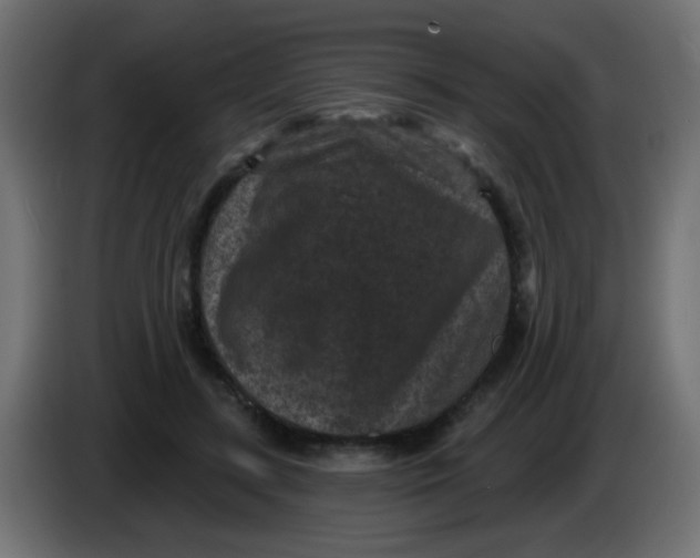 X0000086050547200704131958