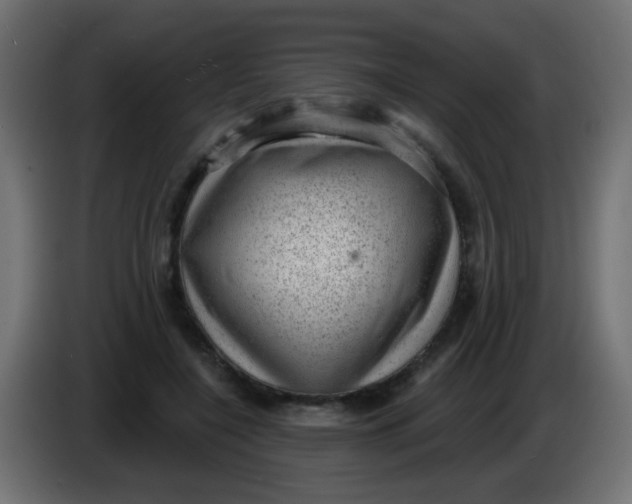 X0000086050548200704131958