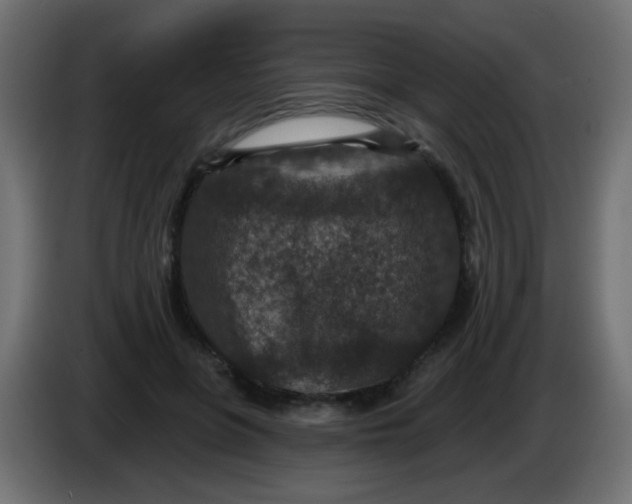 X0000086050551200704131958