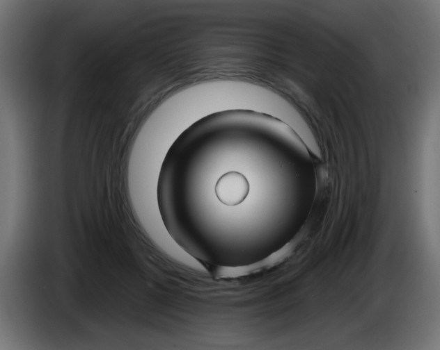 X0000086050552200704131958