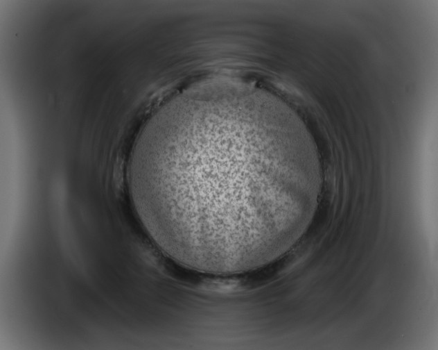X0000086050554200704131958