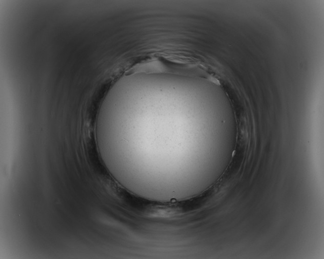 X0000086050555200704131958