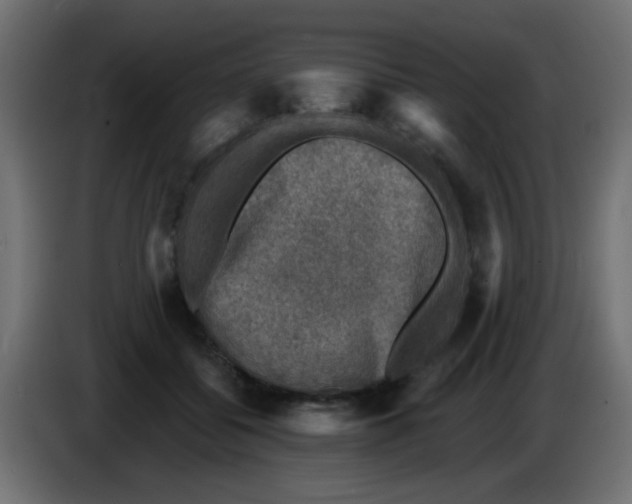 X0000086050556200704131958