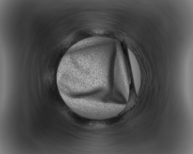 X0000086050559200704131959