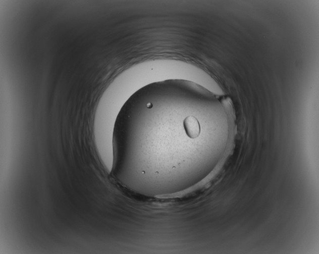 X0000086050560200704131959
