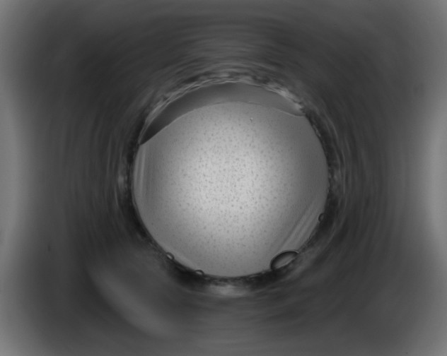 X0000086050561200704131959