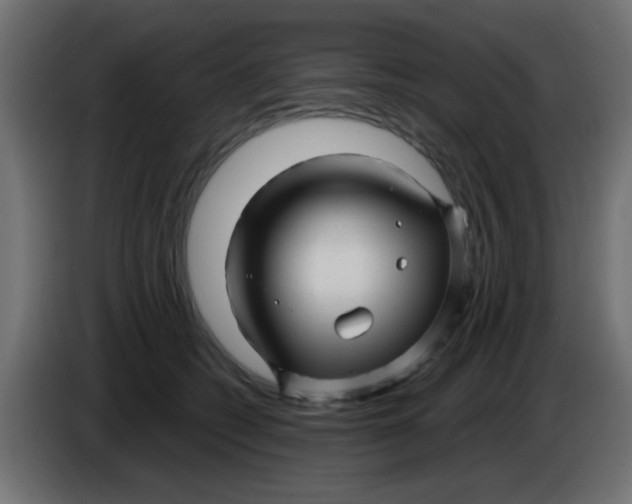 X0000086050562200704131959