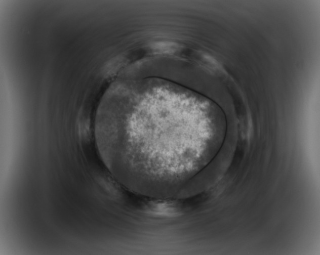 X0000086050564200704131959