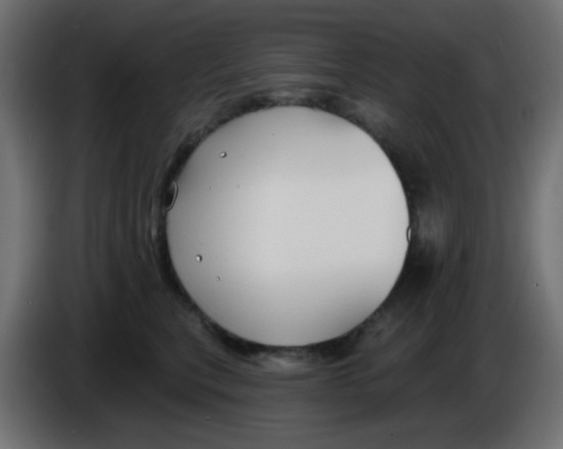 X0000086050567200704131959