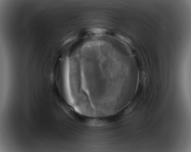 X0000086050568200704131959