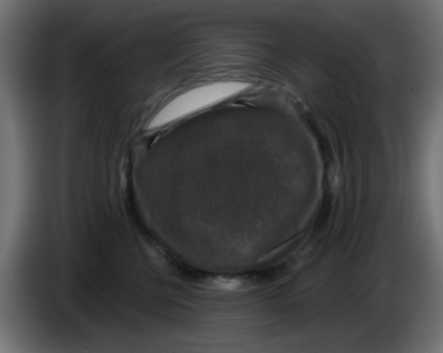 X0000086050570200704131959