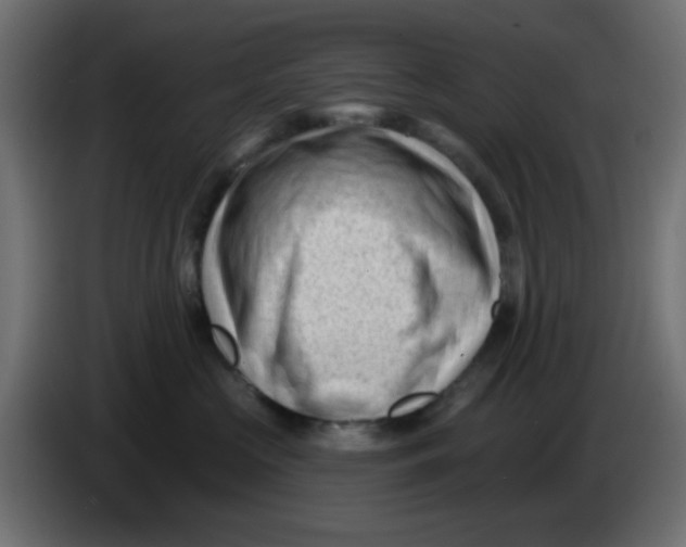 X0000086050573200704131959