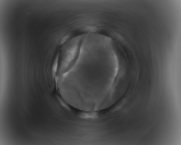 X0000086050576200704131959