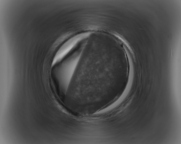 X0000086050577200704131958