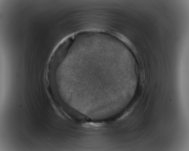 X0000086050580200704131958