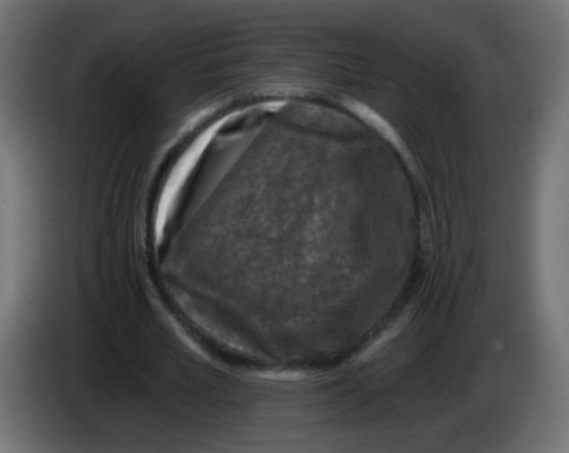 X0000086050581200704131958