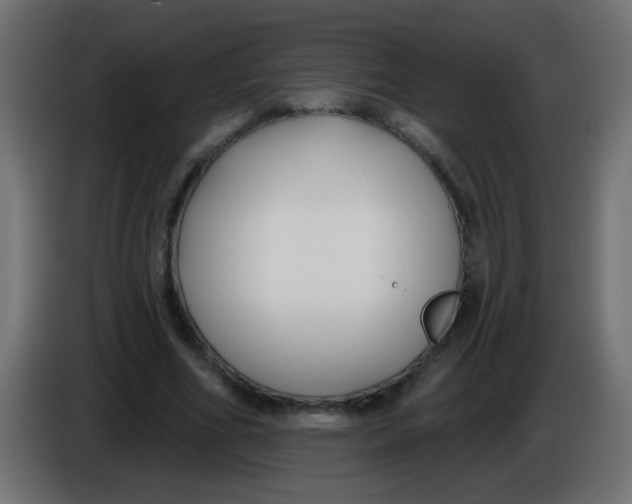 X0000086050586200704131958