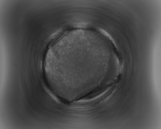 X0000086050589200704131958