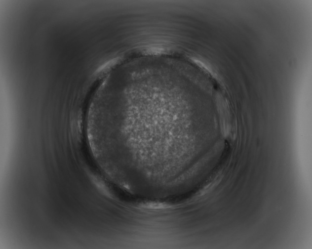X0000086050590200704131958