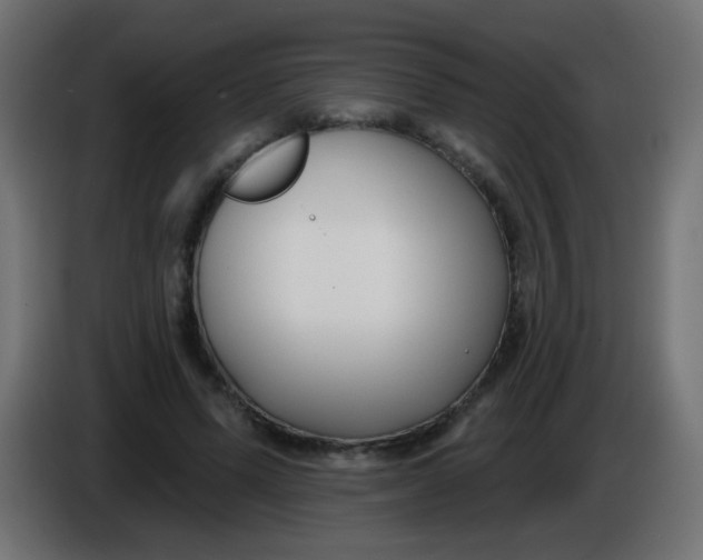 X0000086050591200704131958