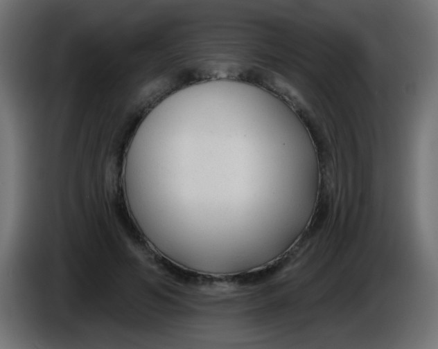 X0000086050594200704131958