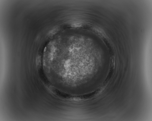 X0000086050598200704131958