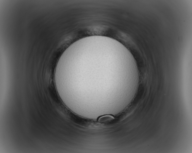 X0000086050599200704131958