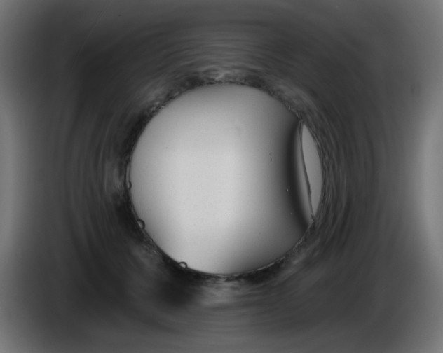 X0000086050607200704131958