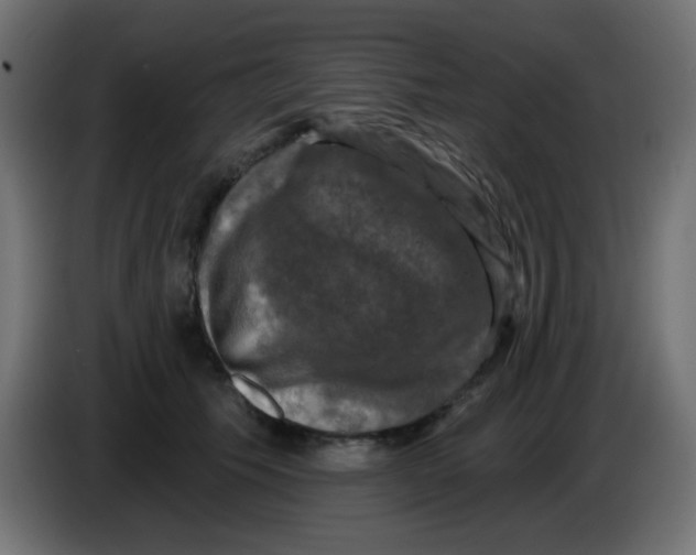 X0000086050609200704131958