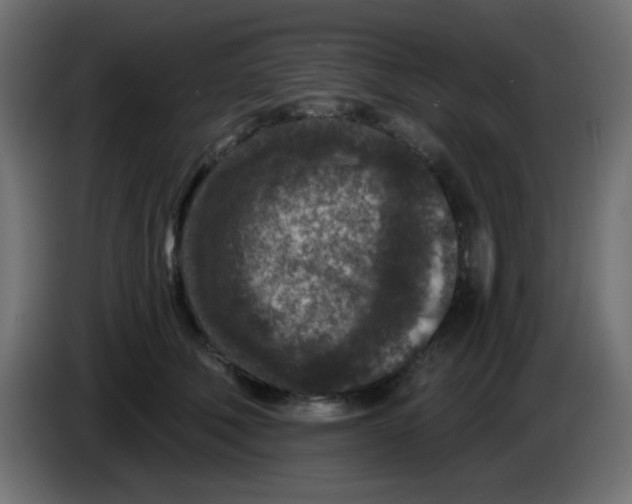 X0000086050610200704131958