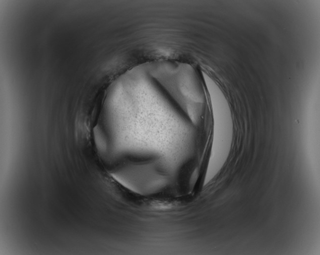 X0000086050613200704131958