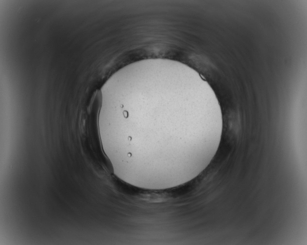 X0000086050615200704131958