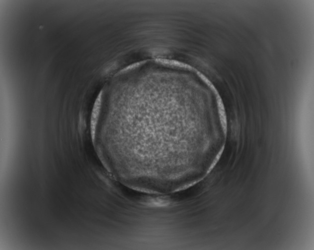 X0000086050618200704131958
