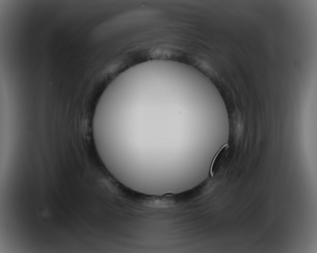 X0000086050619200704131957