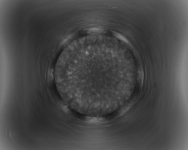 X0000086050621200704131957