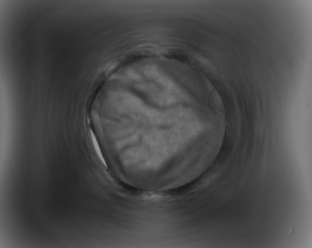 X0000086050624200704131957