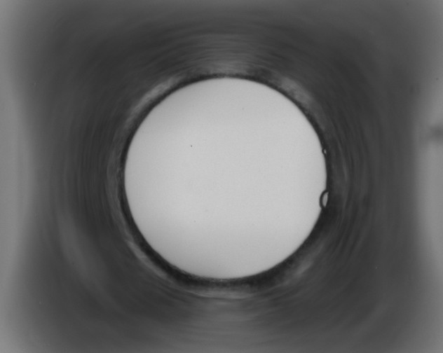 X0000086050625200704131957