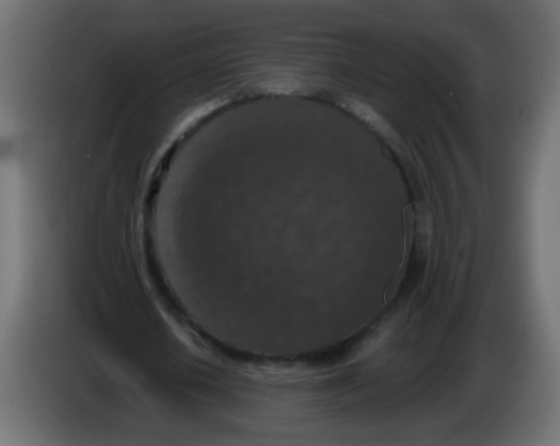 X0000086050626200704131957