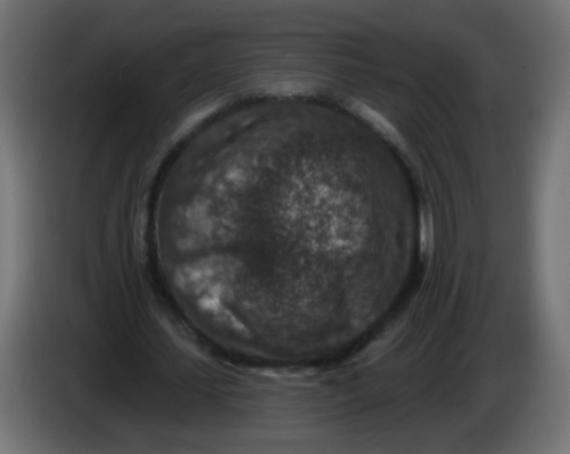 X0000086050627200704131957