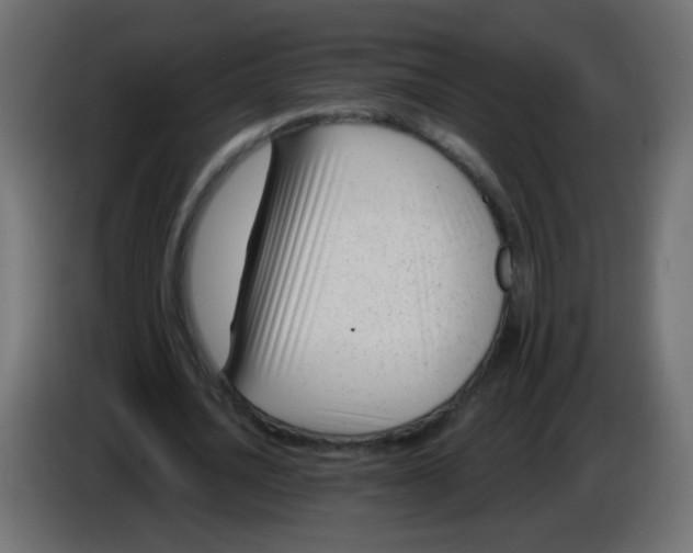 X0000086050628200704131957