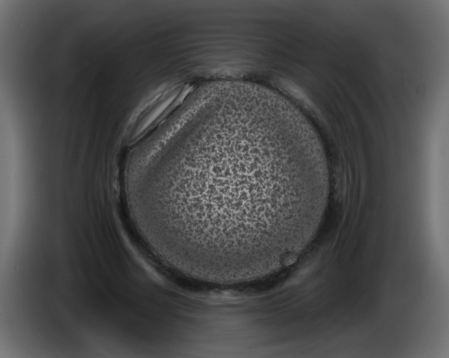 X0000086050634200704131957