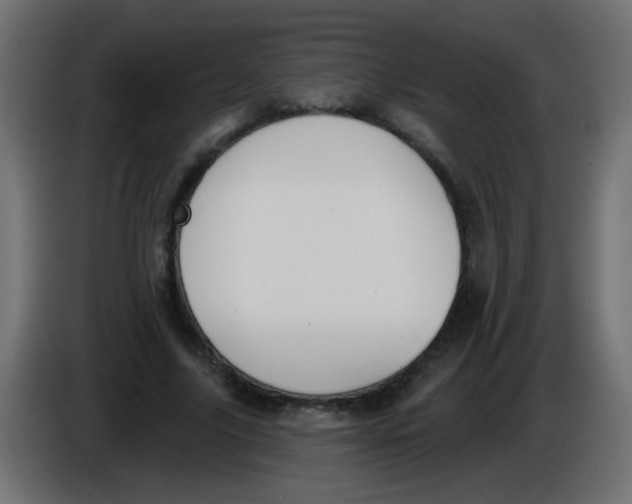 X0000086050635200704131957