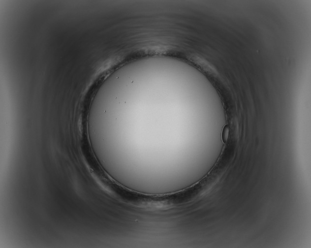 X0000086050638200704131957
