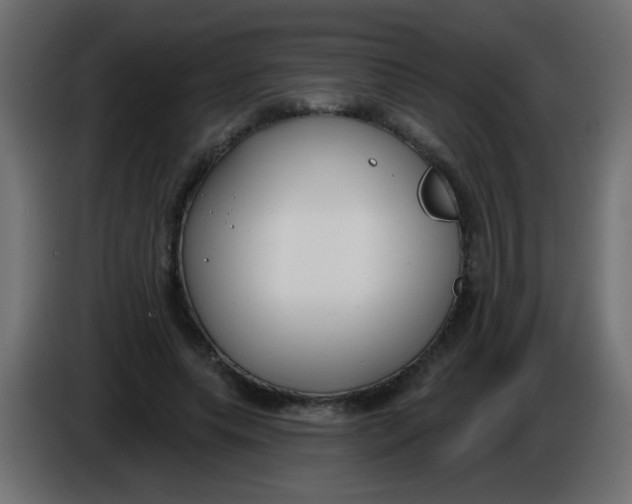 X0000086050639200704131957
