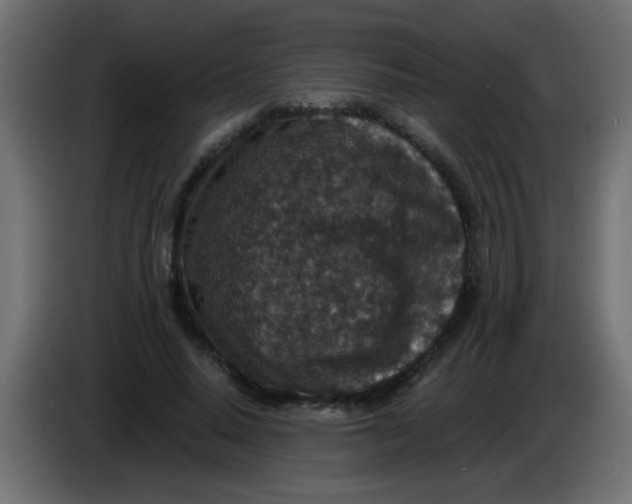 X0000086050640200704131957