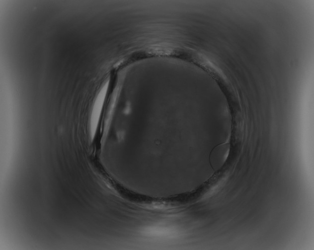 X0000086050641200704131957