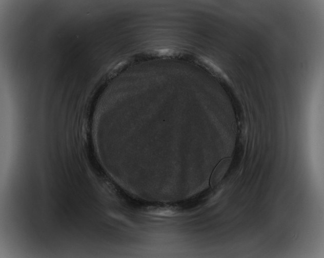 X0000086050643200704131957