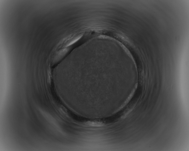 X0000086050644200704131957