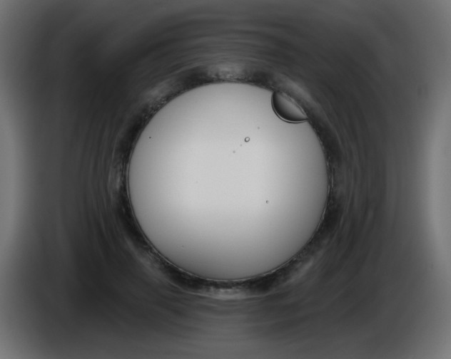 X0000086050645200704131957