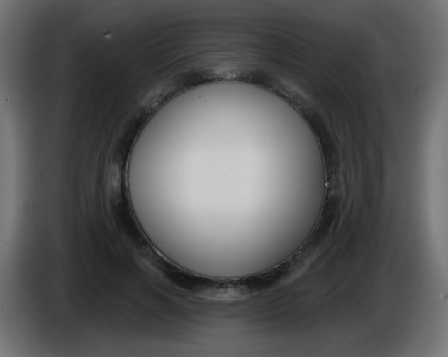 X0000086050646200704131957